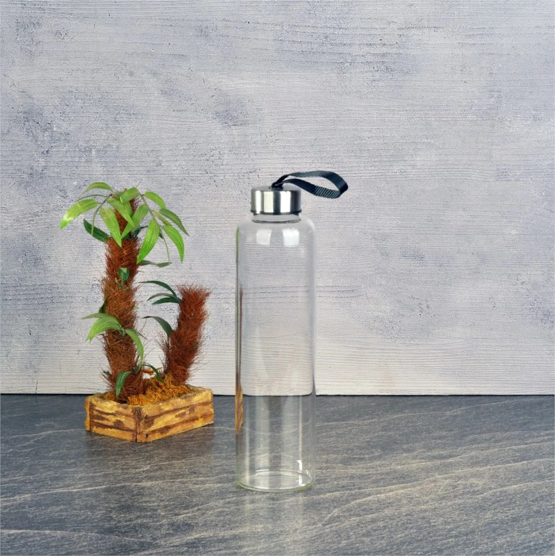 750ml H20 Borosilikat Cam Kılıfsız Cam Matara