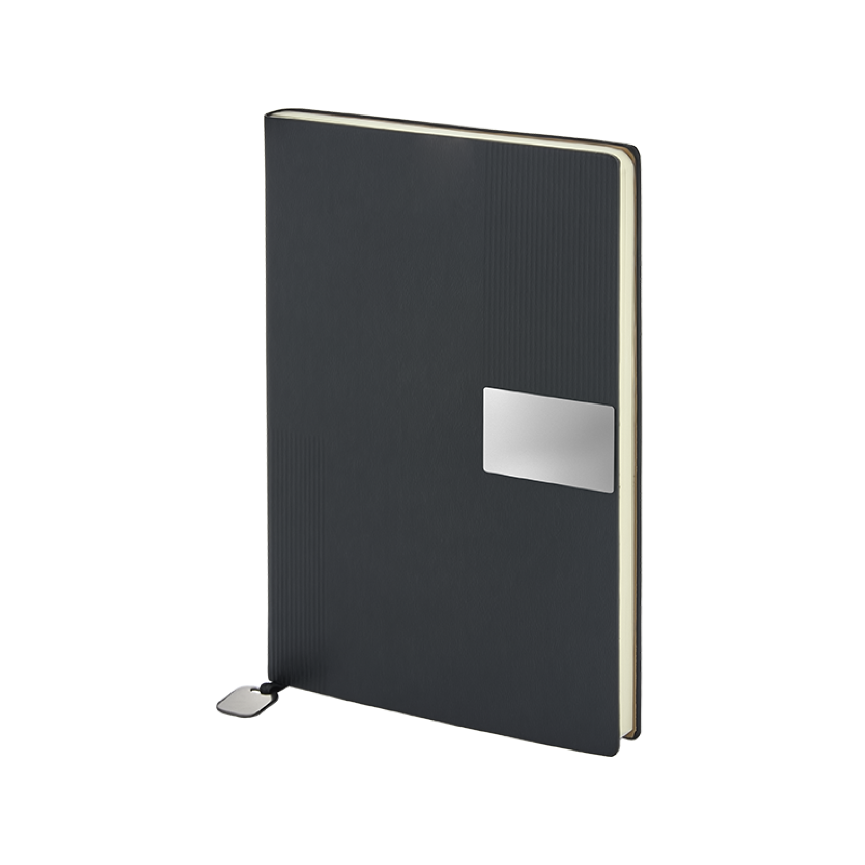 15x21 cm Metal Etiketli Termo Deri Kapaklı 80 gr Ivory Kağıtlı 232 Sayfa Çizgili Defter
