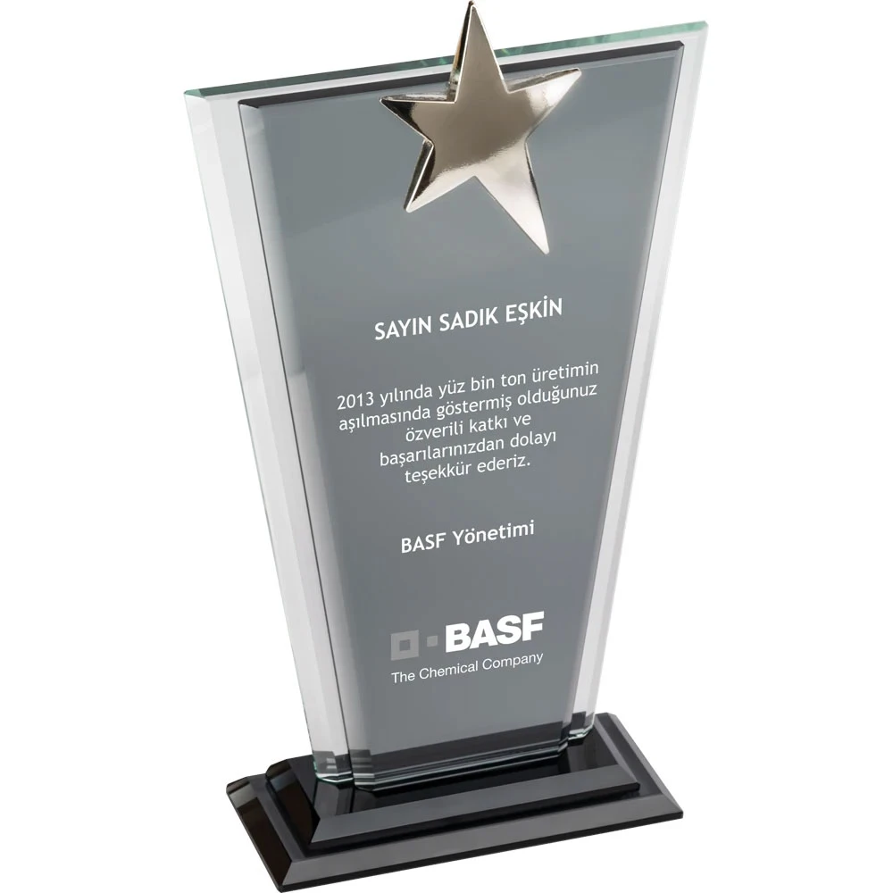 13 x 23 cm Kristal Plaket Promozone