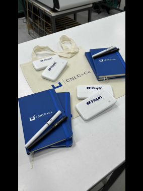 S-link IP-G10N 10000mAh Micro+Type C Girişli Powerbank Beyaz Taşınabilir Pil Şarj Cihazı