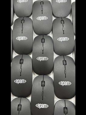 Everest SM-781 Optik Nano Receive Kablosuz Mouse