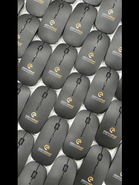 Everest SM-781 Optik Nano Receive Kablosuz Mouse