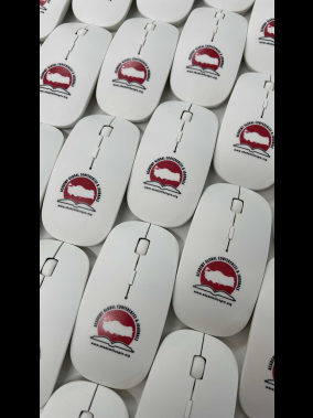 Everest SM-781 Optik Nano Receive Kablosuz Mouse