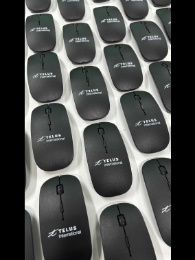 Everest SM-781 Optik Nano Receive Kablosuz Mouse