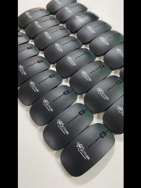 Everest SM-781 Optik Nano Receive Kablosuz Mouse