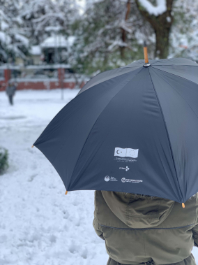 Ahşap Saplı 8 Panel Fiber Glass Baston Şemsiye