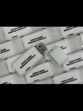 128 GB Plastik USB Bellek