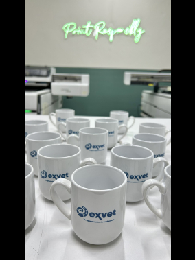 Porselen  Beyaz Bone Promosyon Kupa Bardak - Kutulu