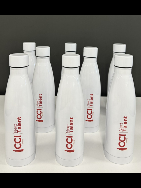 500 ml Paslanmaz Çelik Termos Şişe - Çift Duvarlı