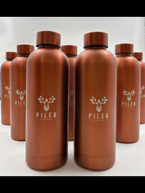 500 ml Geri Dönüştürülmüş Paslanmaz Çelik Termos Şişe - Çift Duvarlı