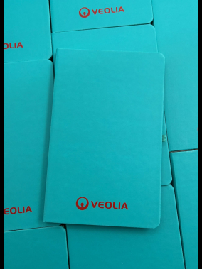 13 x 21 cm Suni Deri Sert Kapaklı Tarihsiz Defter 160 Sayfa 55 gr Holmen Krem Çizgili Lastikli Kalem Tutuculu Ekonomik Model