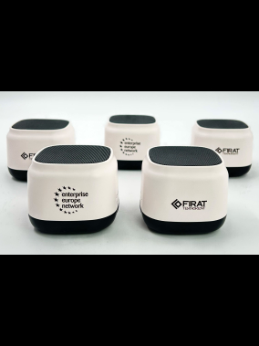 Mini Bluetooth Hoparlör