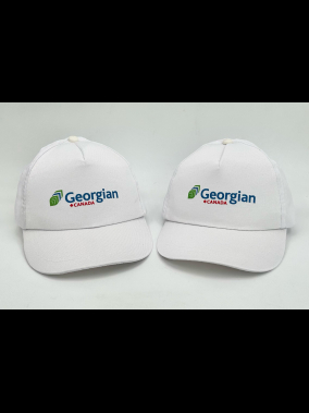 Polyester 5 Panel Ekonomik Promosyon Şapka