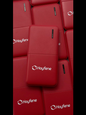 10.000 mAh Powerbank