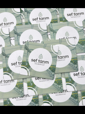 Özel Üretim Emici Karton Bardak Altlığı