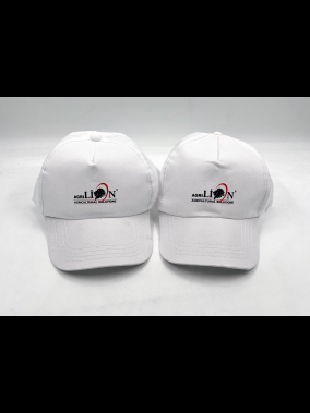 Polyester Promosyon Ekonomik Şapka – 5 Panel Tam Tela